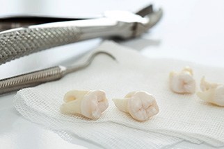 Dental instruments with extracted teeth